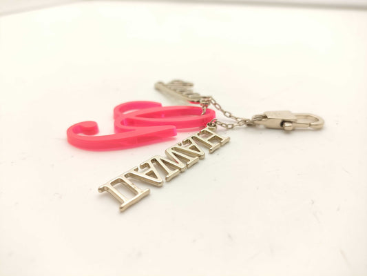 GUCCI Hawaii Keychain Key Case Keychain