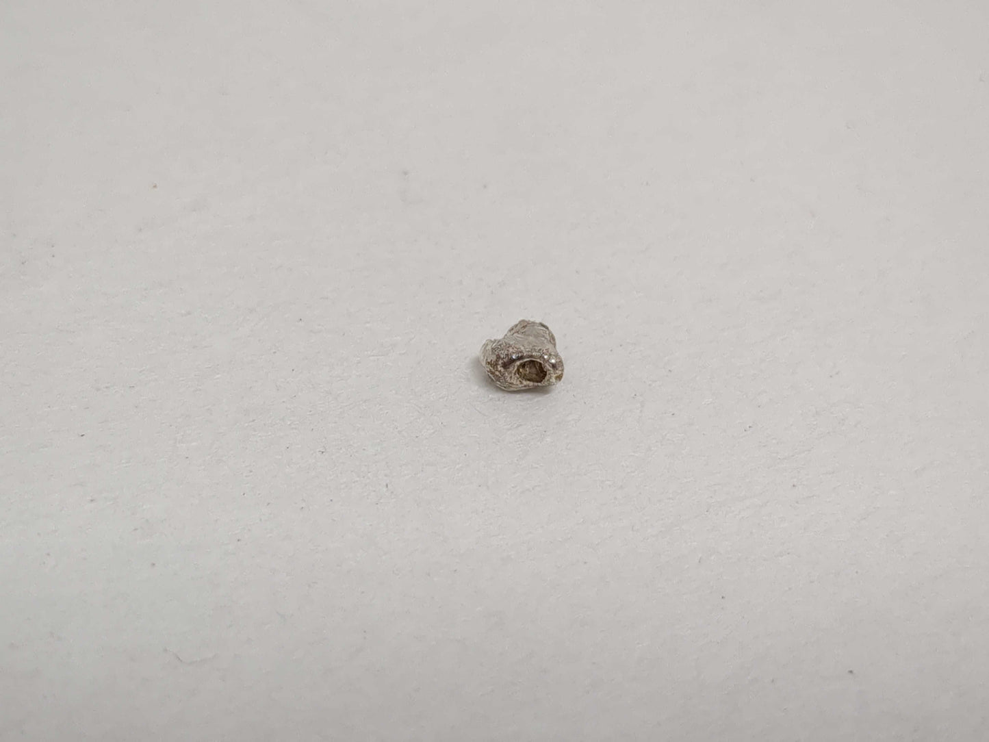 GUCCI Dog Tag 925 with Chain Other Accessories