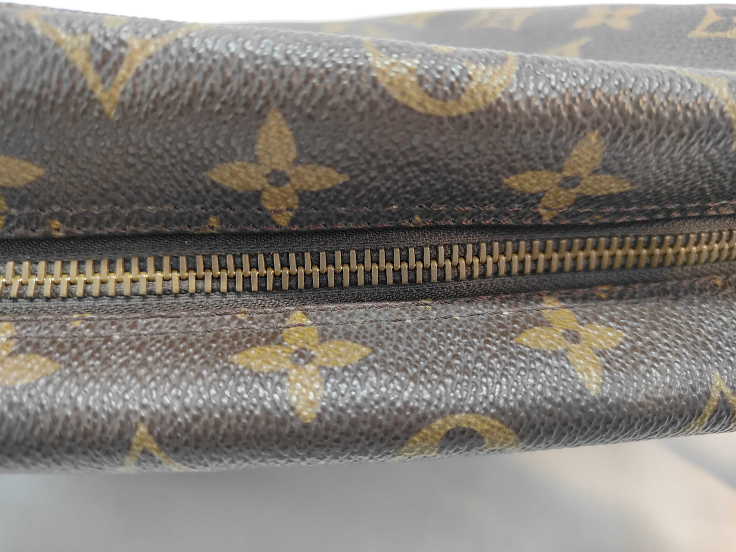 LOUIS VUITTON Monogram True Toilet Pouch