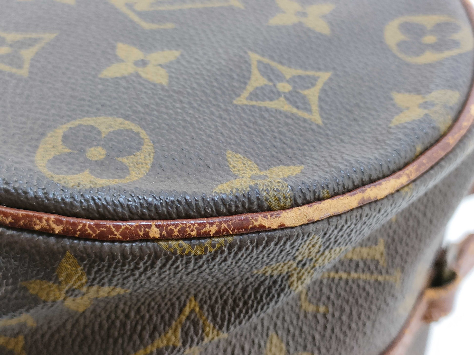 LOEWE LV Monogram Papillon 30 M51365 Handbag 