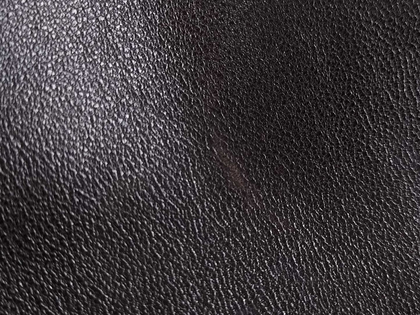 CHANEL Lamb Leather Skirt