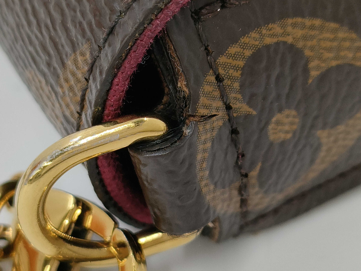 LOUIS VUITTON Monogram Pochette Felicie Shoulder Bag