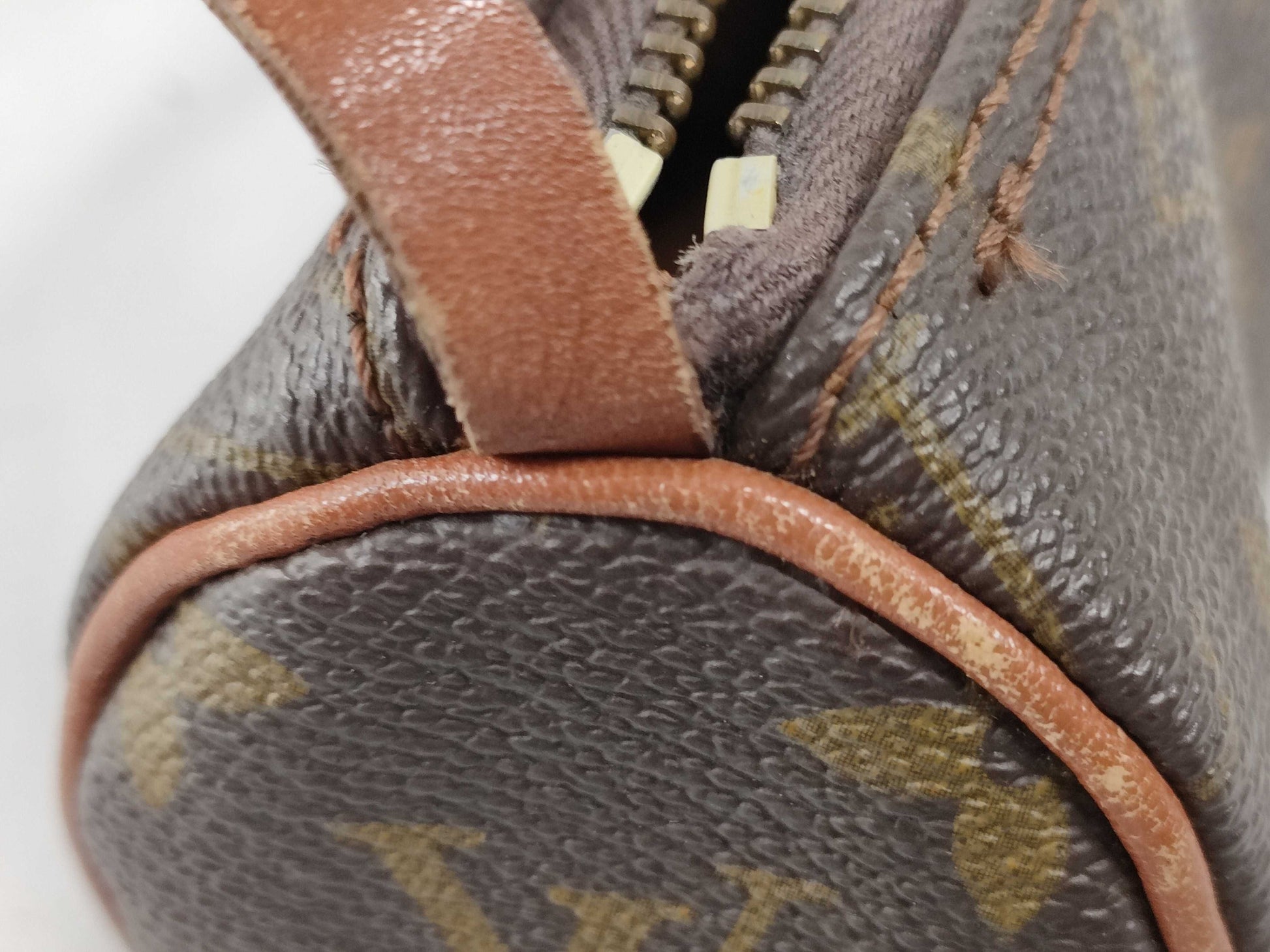 LOUIS VUITTON Monogram Papillon Pouch