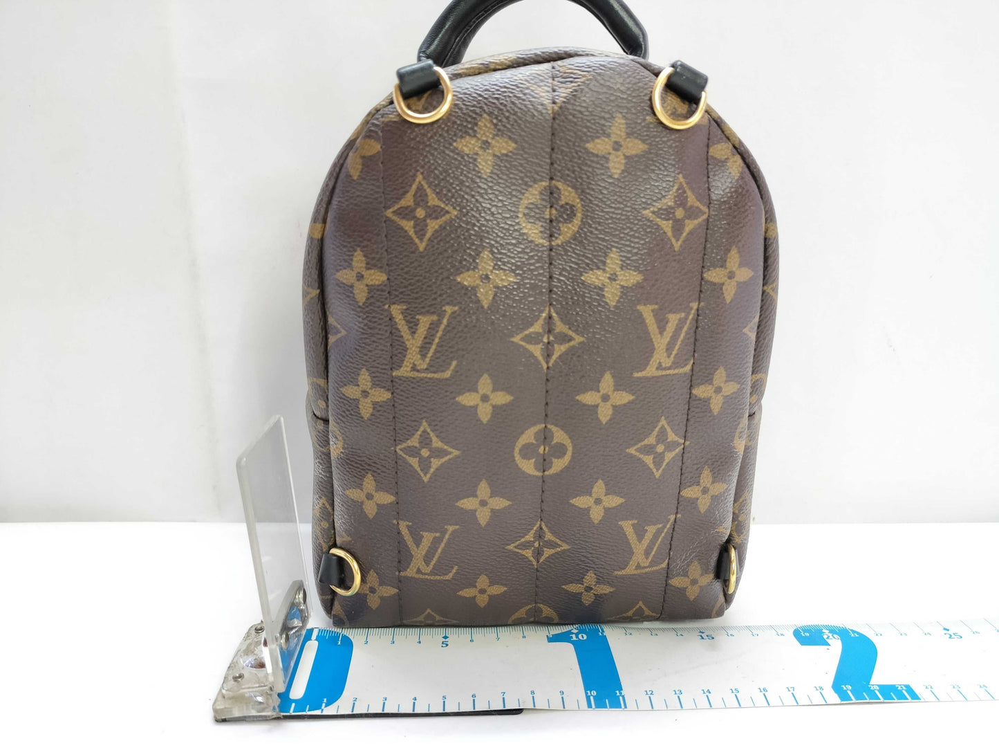 LOUIS VUITTON Monogram Palm Springs Mini Monogram Backpack M44873 AR4166
