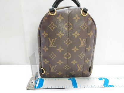 LOUIS VUITTON Monogram Palm Springs Mini Monogram Backpack M44873 AR4166
