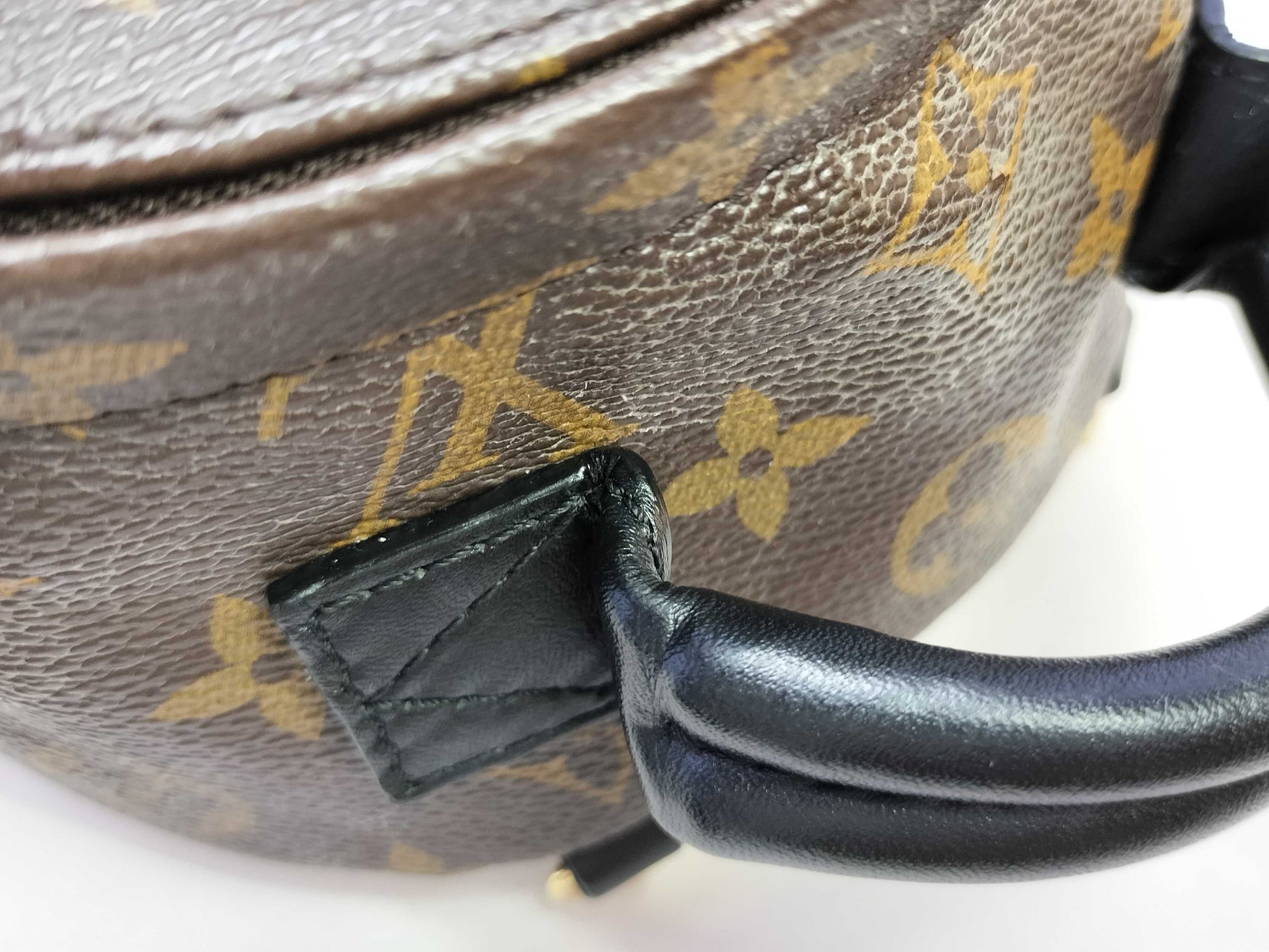 LOUIS VUITTON Monogram Palm Springs Mini Monogram Backpack M44873 AR4166