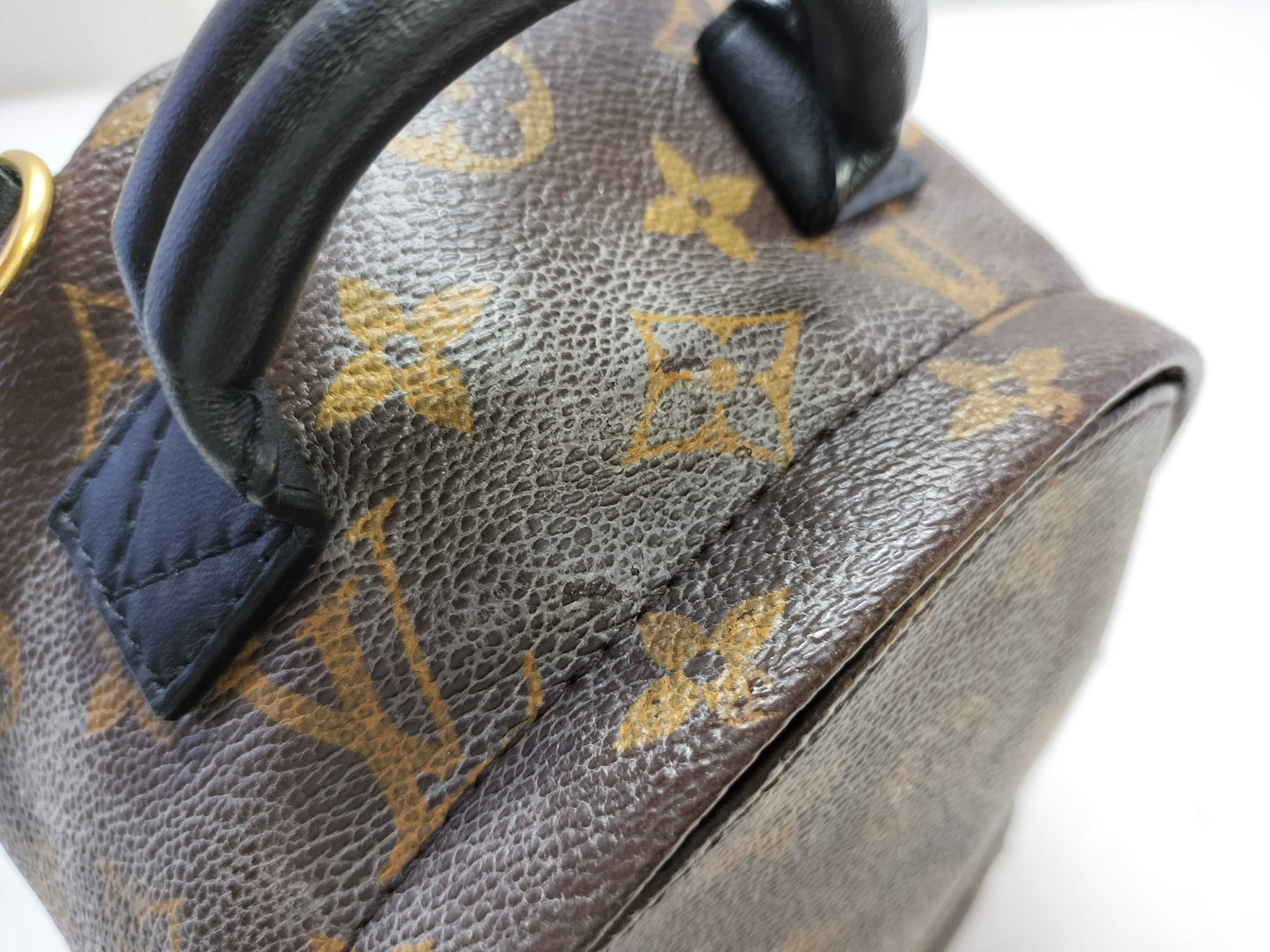 LOUIS VUITTON Monogram Palm Springs Mini Monogram Backpack M44873 AR4166