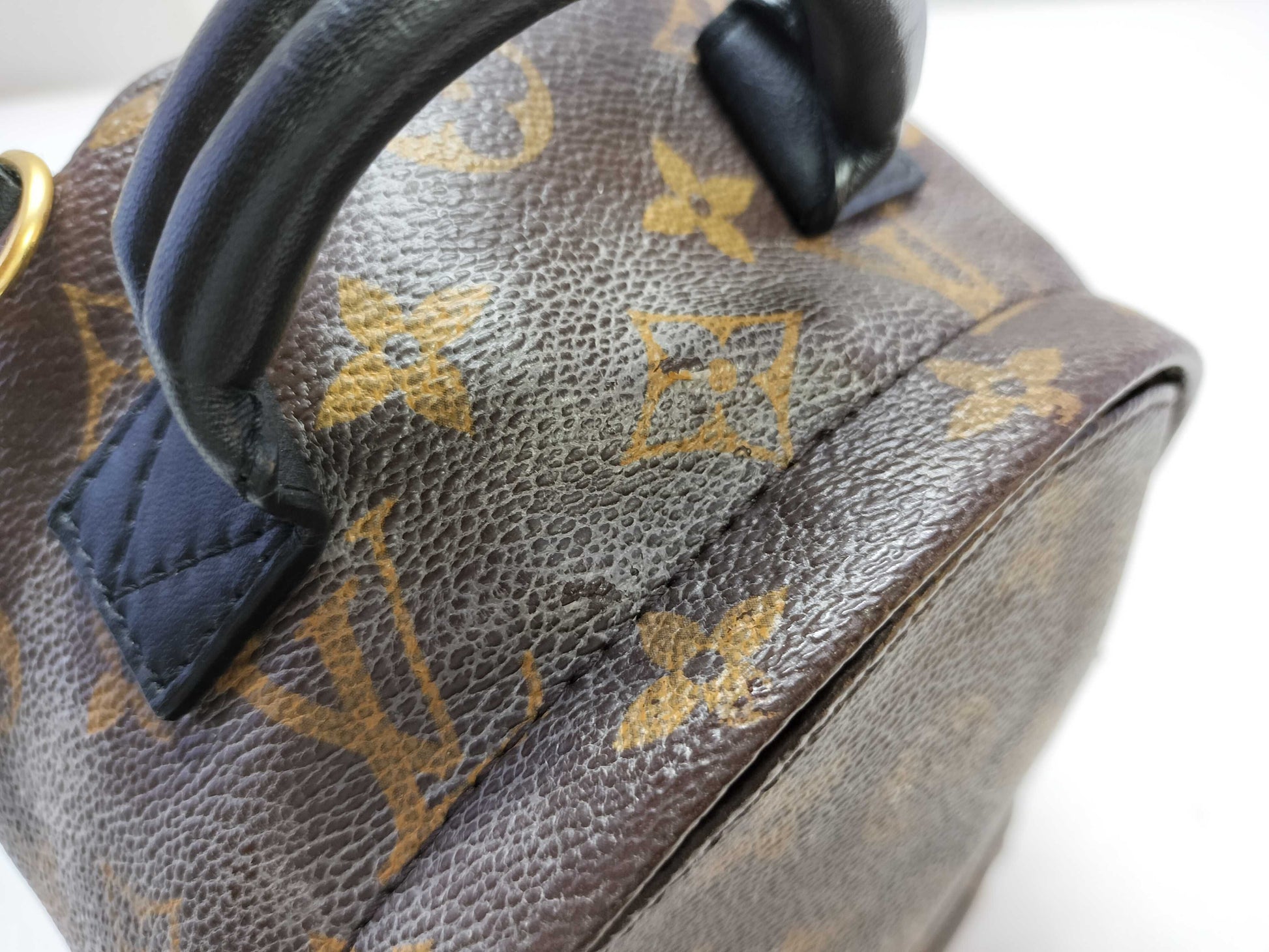LOUIS VUITTON Monogram Palm Springs Mini Monogram Backpack M44873 AR4166