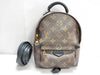 LOUIS VUITTON Monogram Palm Springs Mini Monogram Backpack M44873 AR4166