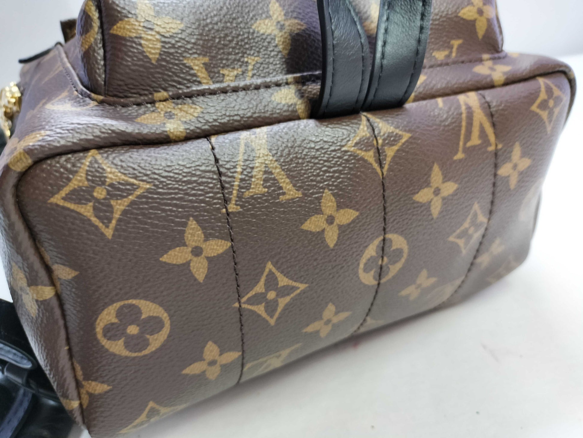 LOUIS VUITTON Monogram Palm Springs PM Monogram M41560 Backpack