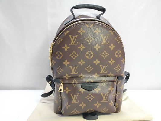 LOUIS VUITTON Monogram Palm Springs PM Monogram M41560 Backpack