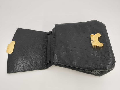 CELINE Ostrich Triomphe Hardware Handbag