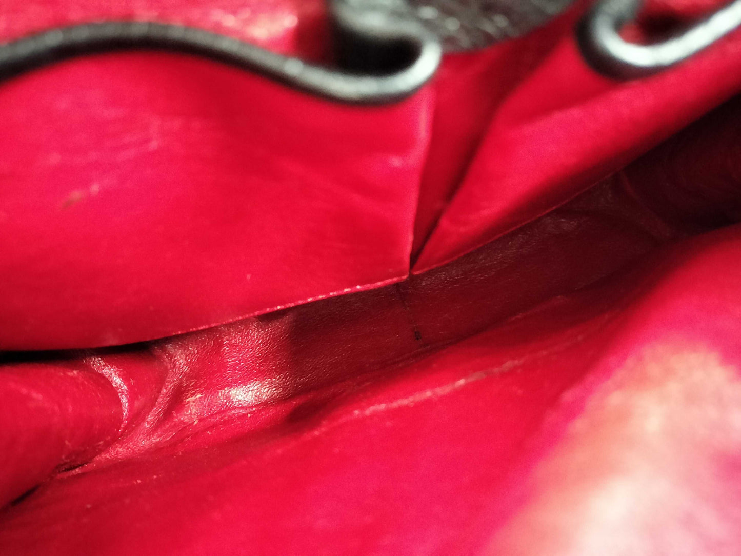 CELINE Ostrich Triomphe Hardware Handbag