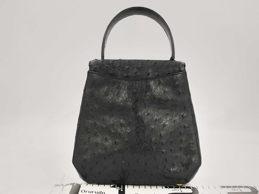 CELINE Ostrich Triomphe Hardware Handbag