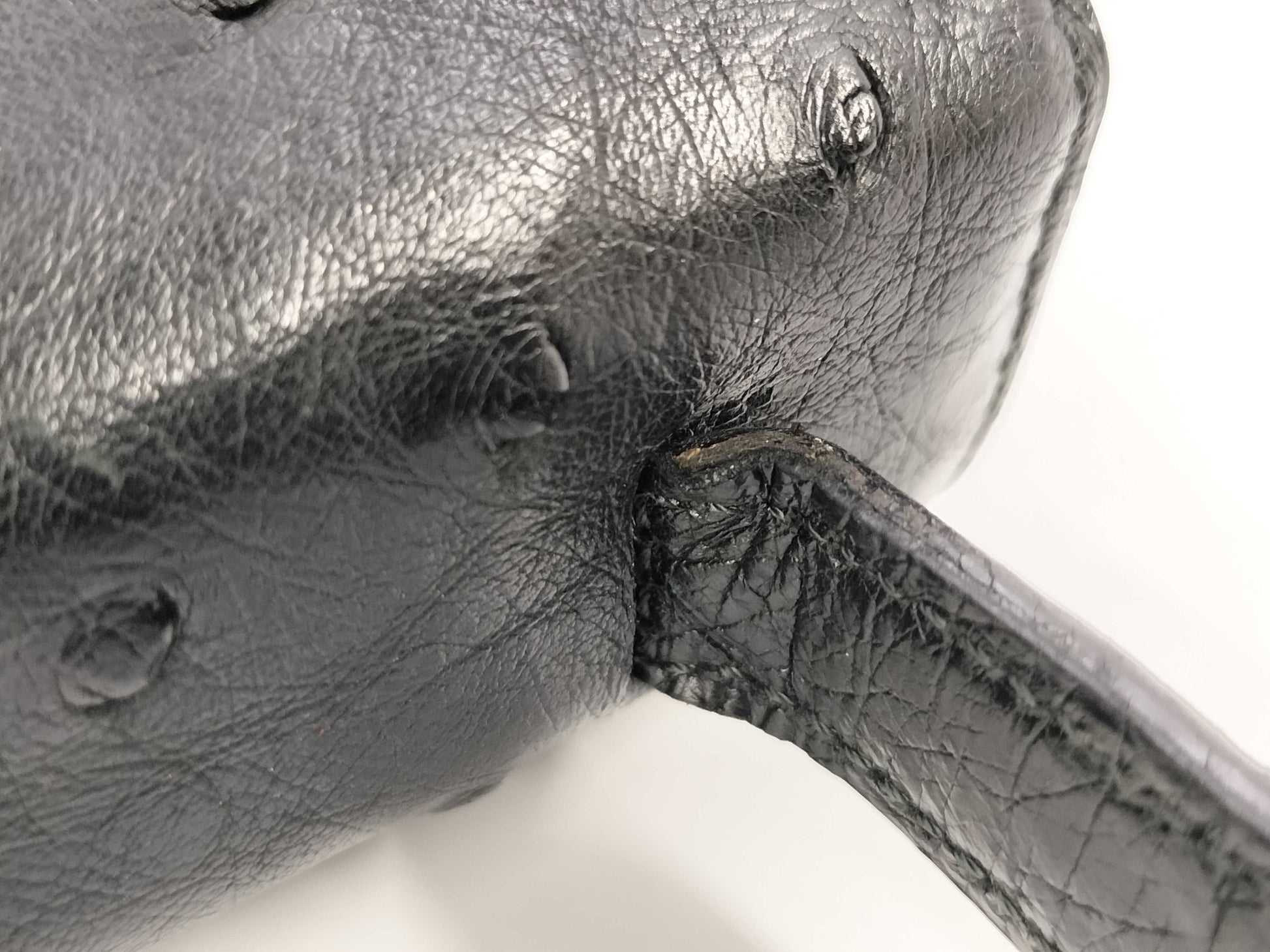 CELINE Ostrich Triomphe Hardware Handbag