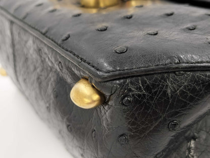 CELINE Ostrich Triomphe Hardware Handbag