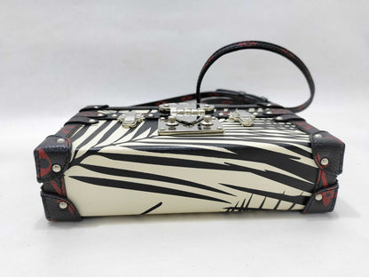 LOUIS VUITTON Petite Malle 2016 Cruise Nicolas Ghesquière Pouch