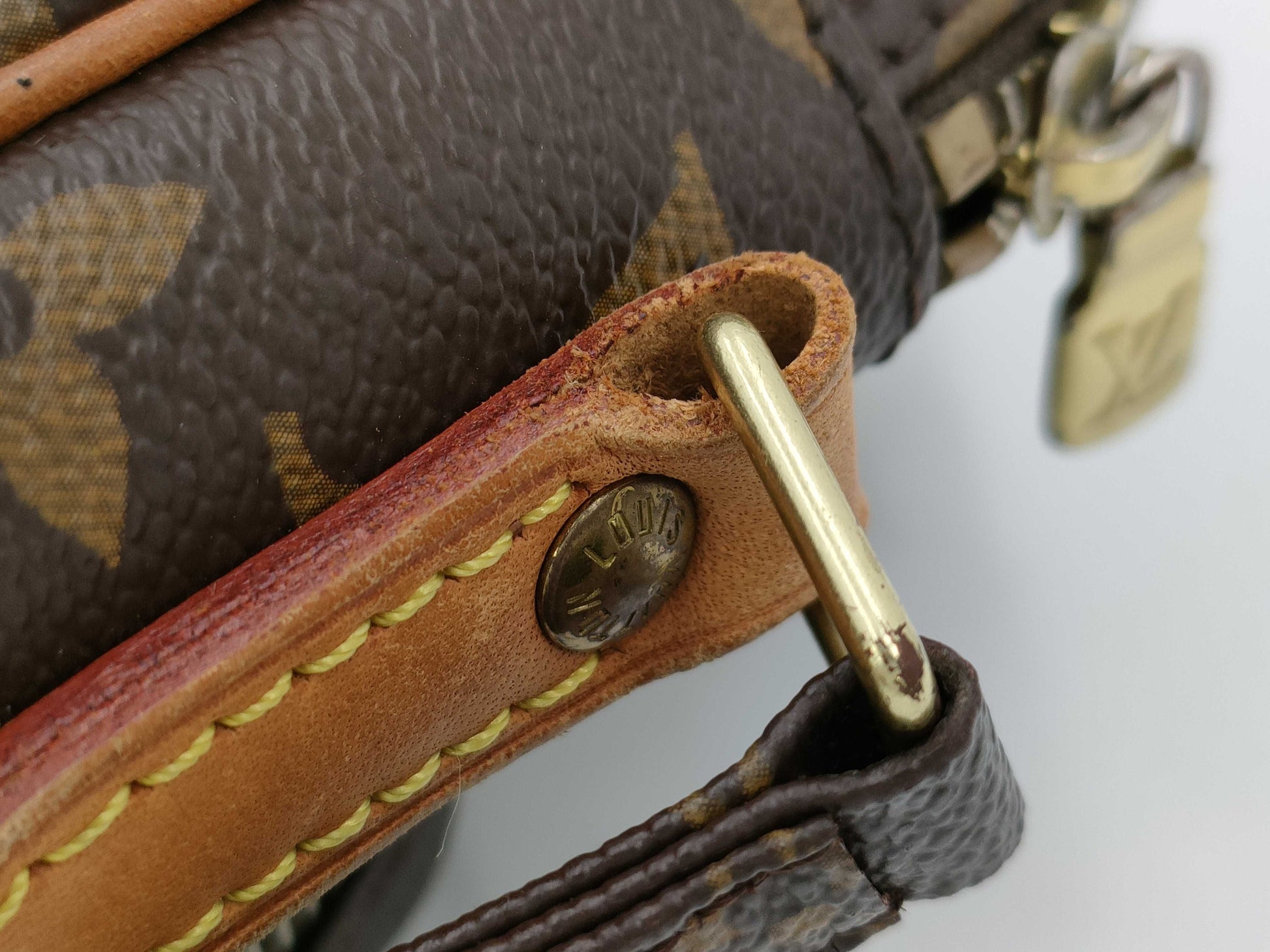 LOUIS VUITTON M45236 Monogram Amazon Shoulder Bag