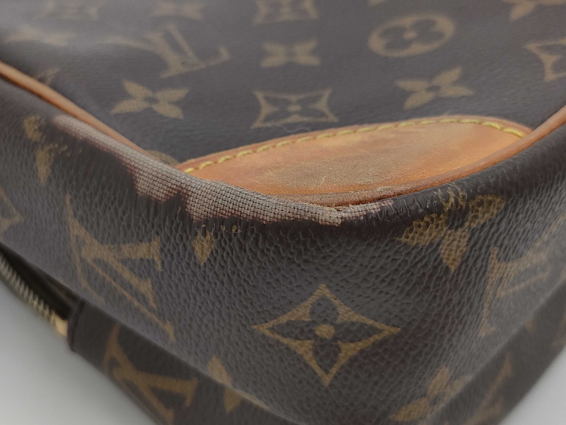 LOUIS VUITTON M45236 Monogram Amazon Shoulder Bag