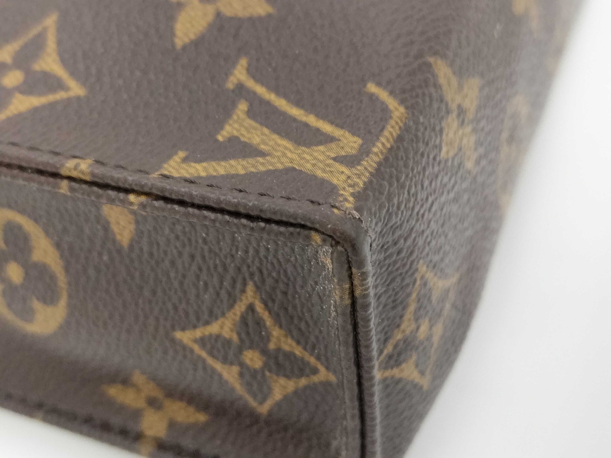 LOUIS VUITTON Louis Vuitton Monogram Pouch Pouch