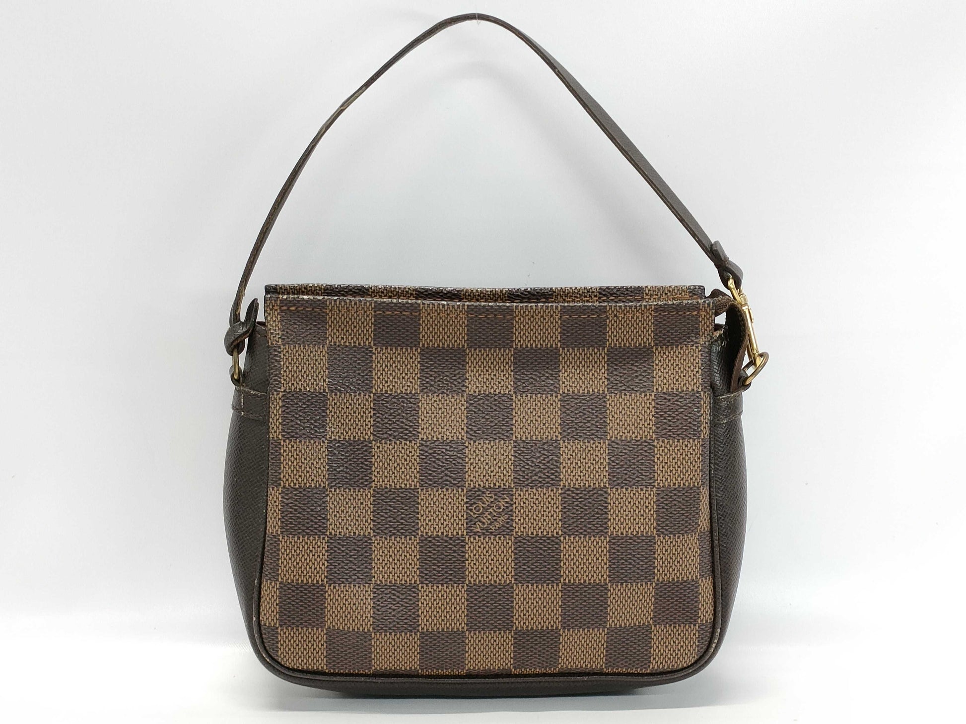 LOUIS VUITTON Damier Truth Makeup Pouch