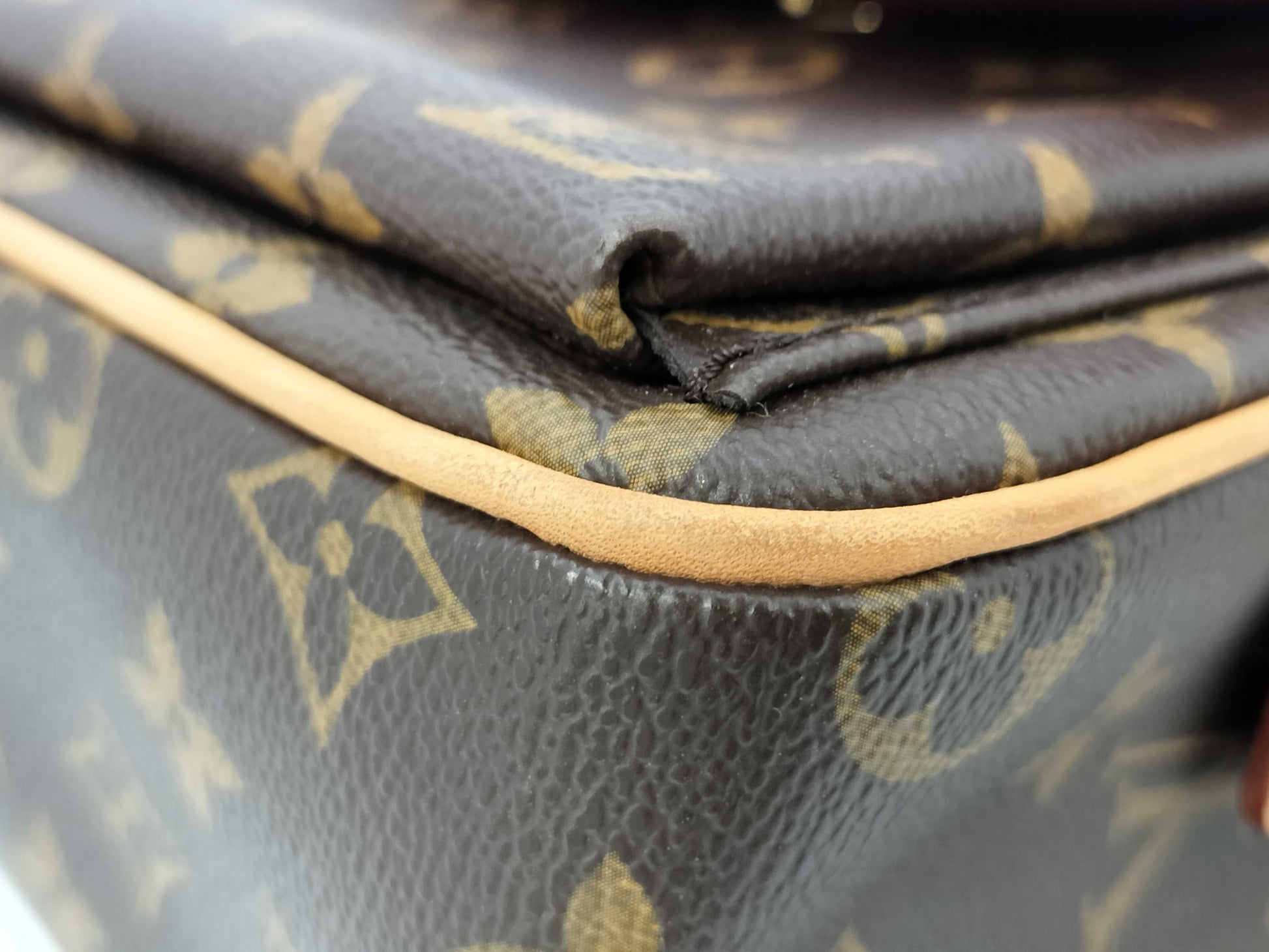 LOUIS VUITTON Viva Cite MM Monogram Shoulder Bag/Handbag
