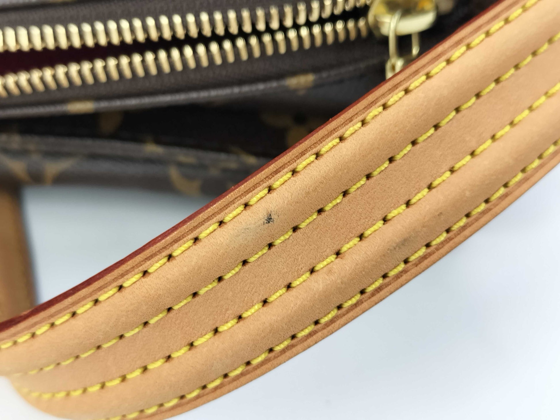 LOUIS VUITTON Viva Cite MM Monogram Shoulder Bag/Handbag