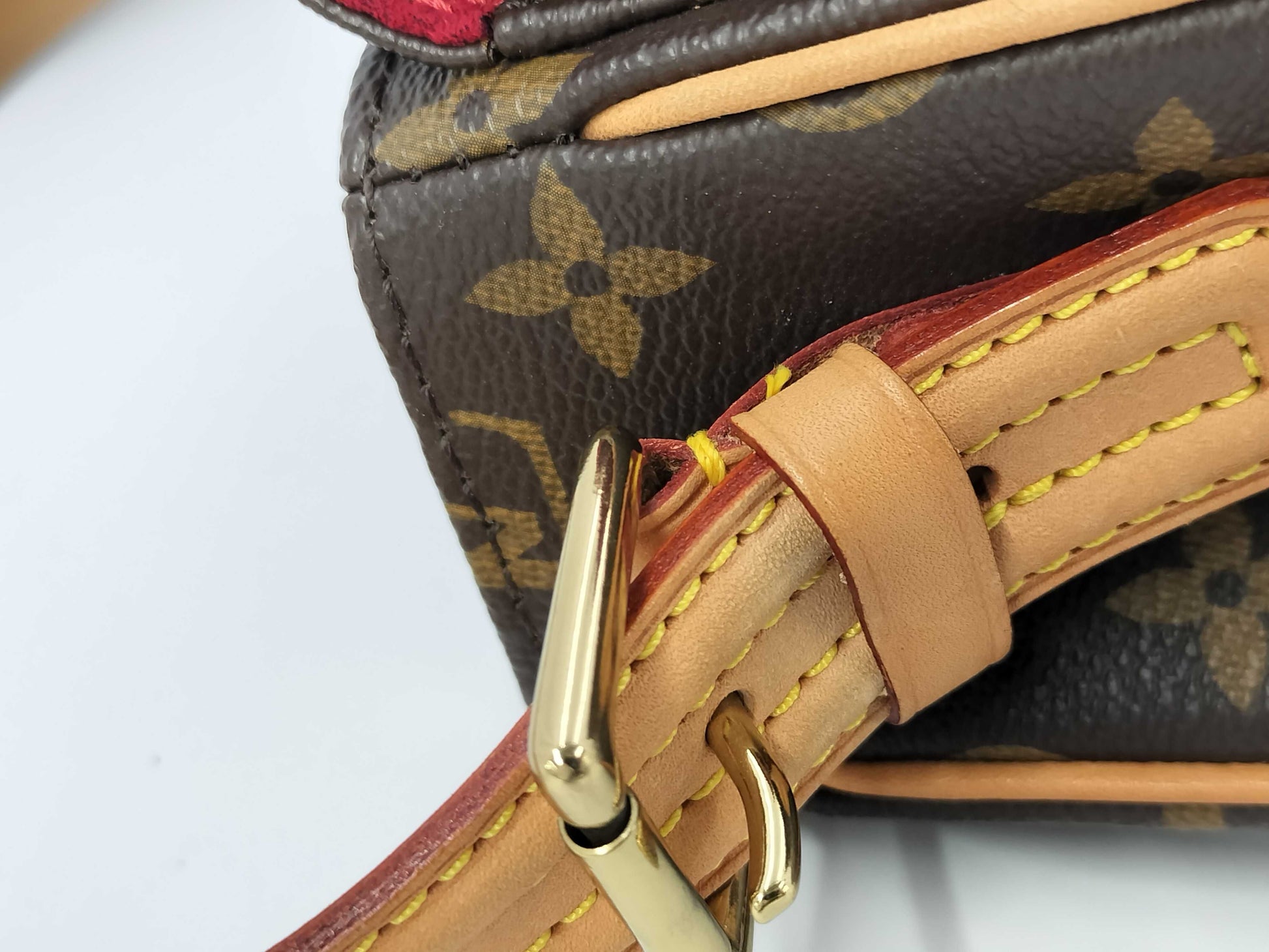 LOUIS VUITTON Viva Cite MM Monogram Shoulder Bag/Handbag