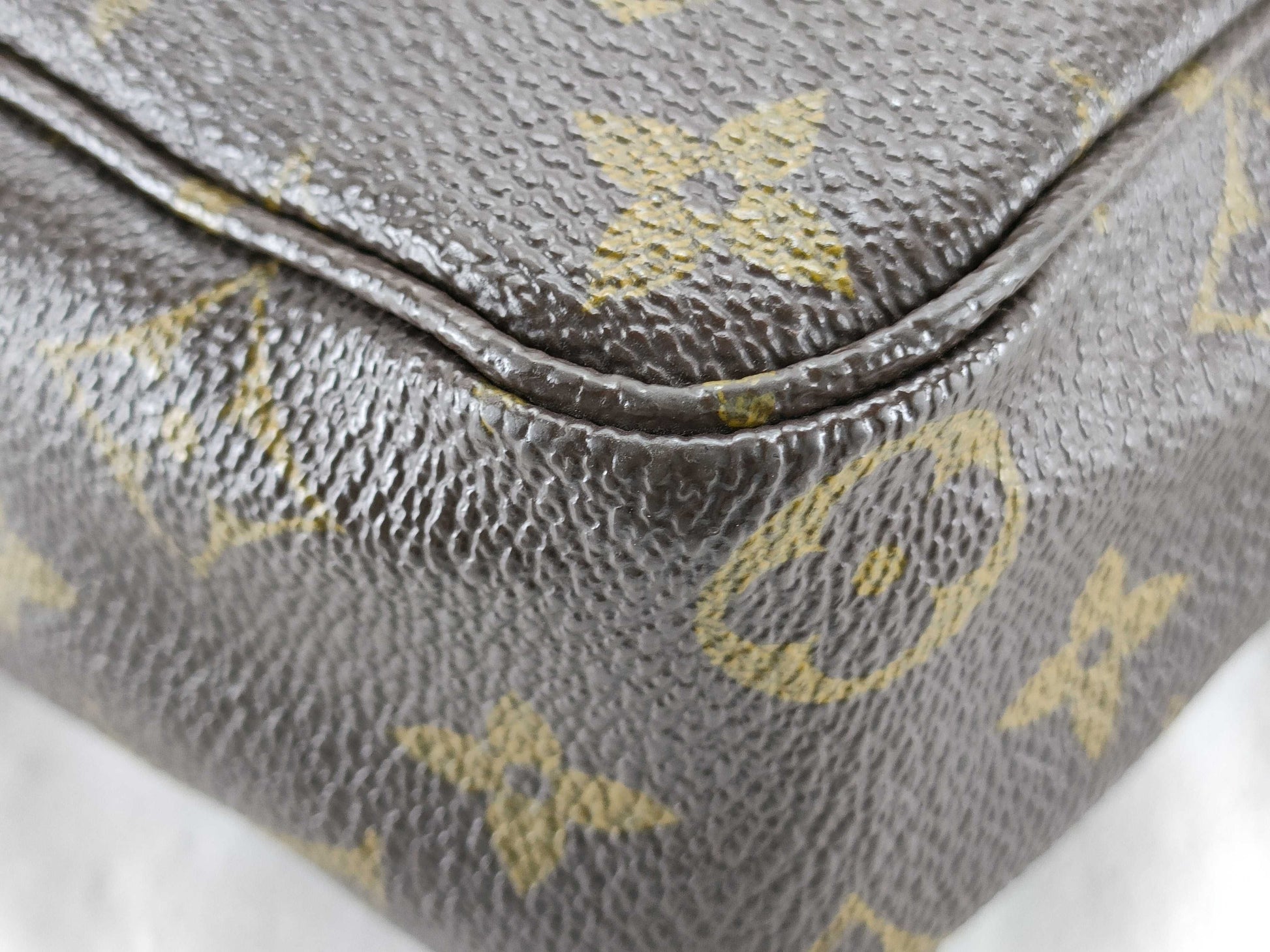 LOUIS VUITTON Monogram LOUIS VUITTON Bag Pouch