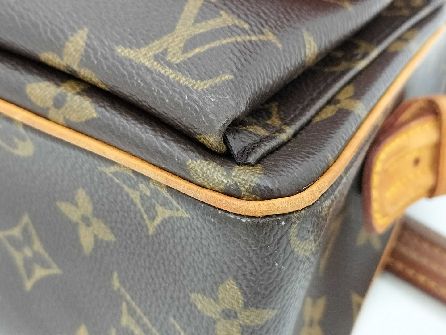 LOUIS VUITTON LV bag handbag
