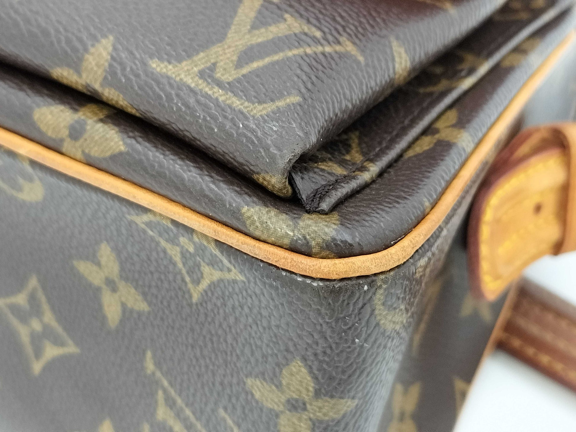LOUIS VUITTON LV bag handbag