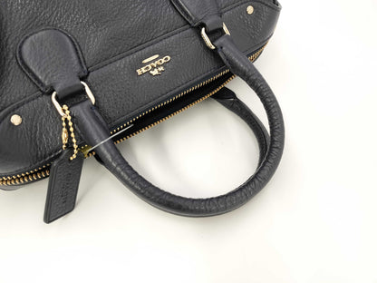 COACH coach bag handbag