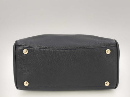 COACH coach bag handbag