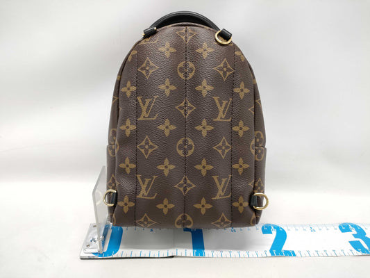 LOUIS VUITTON Monogram LV Palm Springs Mini Monogram Backpack