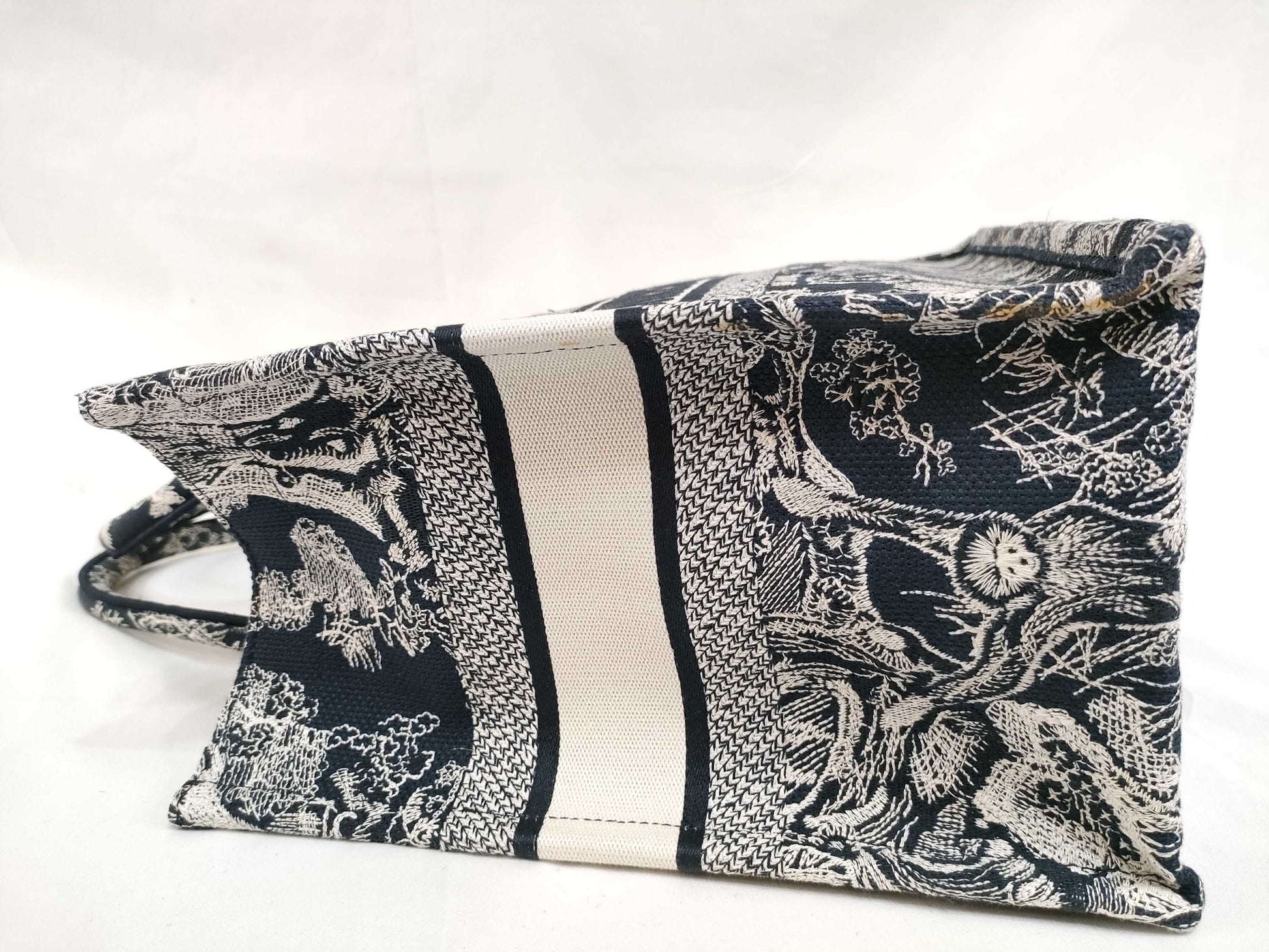 Dior Book Tote Bag