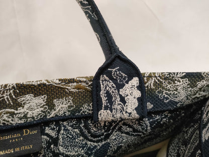 Dior Book Tote Bag