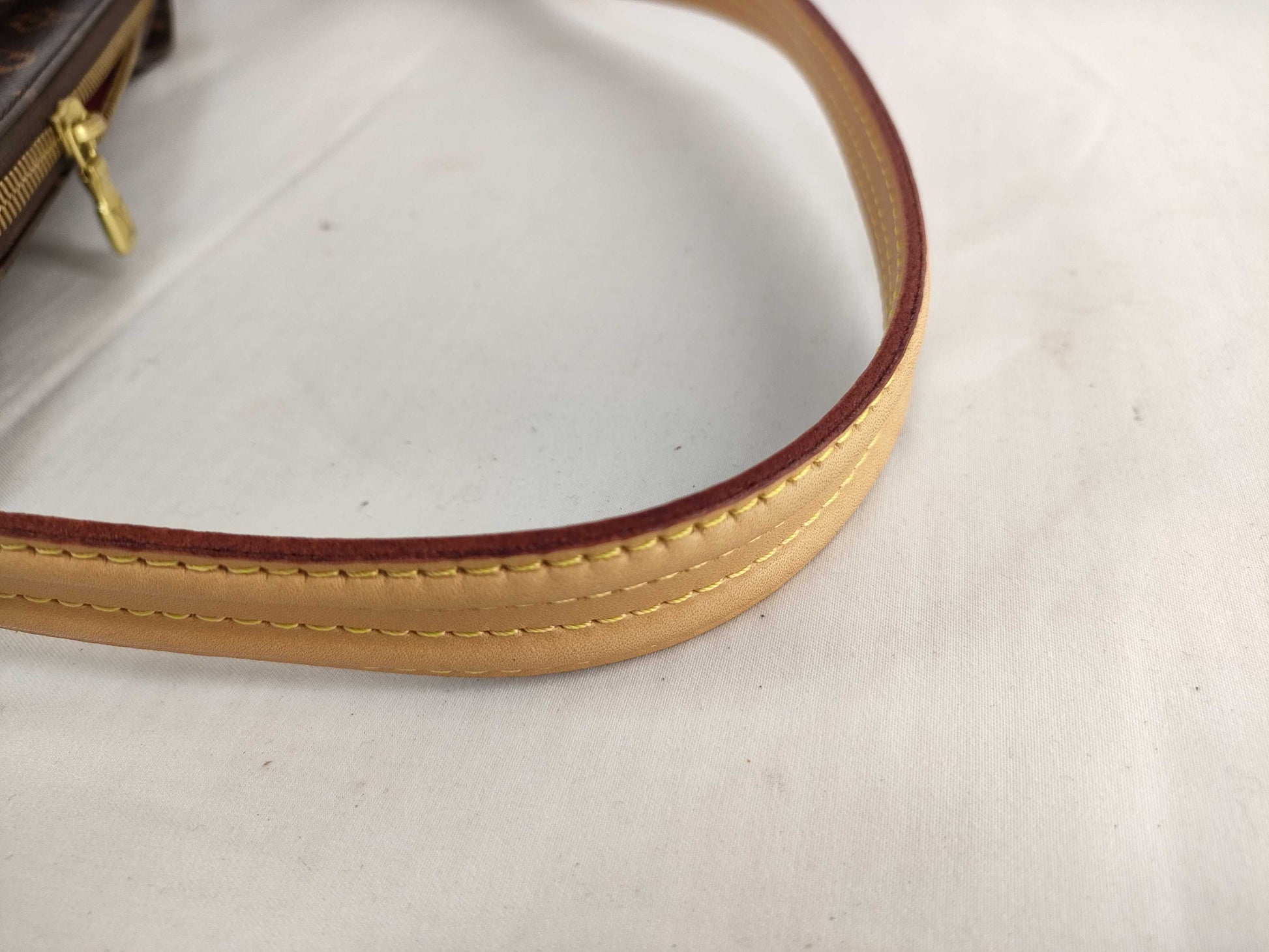 LOUIS VUITTON Monogram Louis Vuitton Monogram Viva Cite MM Shoulder Bag