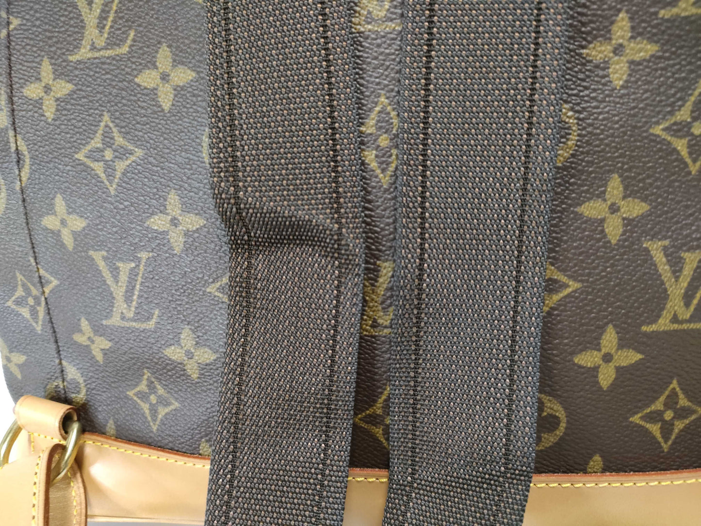 LOUIS VUITTON M10975 Monogram LV Backpack Montsouris M10975 Backpack
