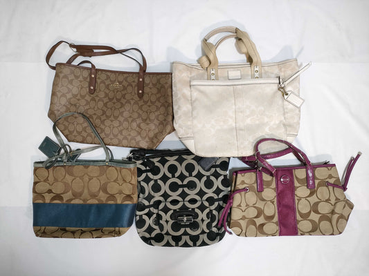 COACH 5-piece bag set