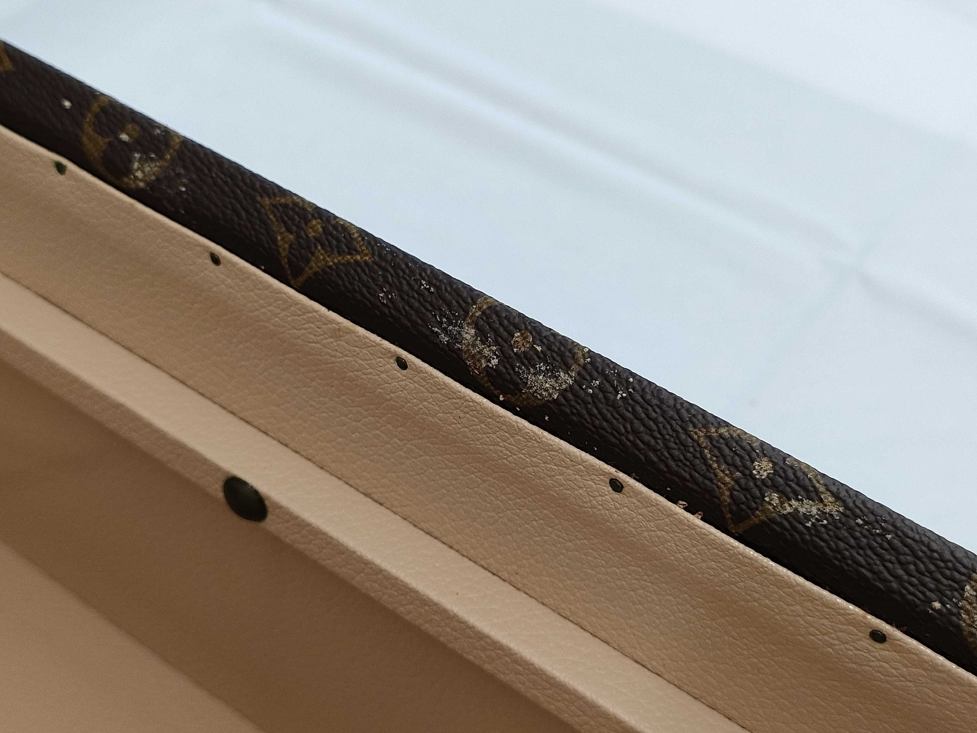 LOUIS VUITTON LV Trunk Case Bag