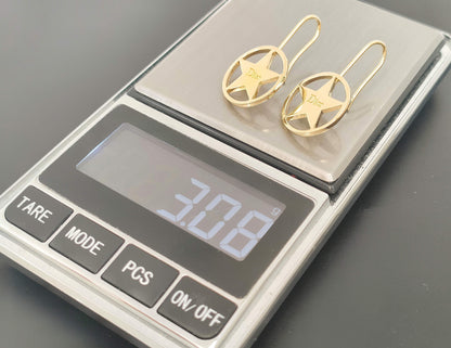 Dior Dior Gold Color Star Design Hook Earrings G Earrings