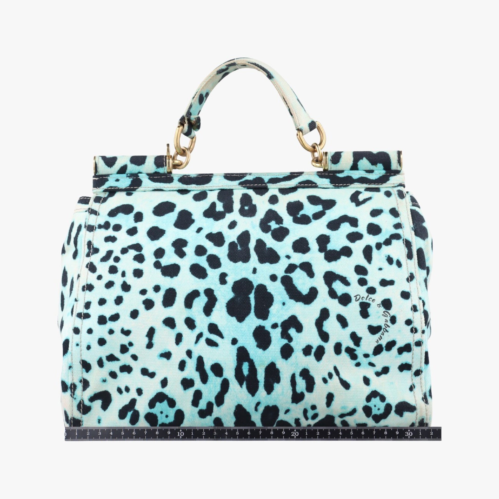 DOLCE&GABBANA Sicily Leopard Print Multicolor Canvas Handbag