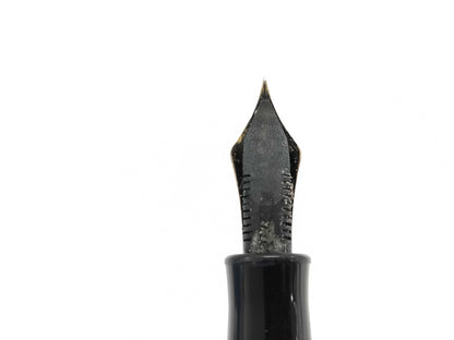 Platinum 14K Fountain Pen Pens & Fountain Pens