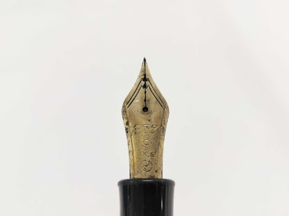 Platinum 14K Fountain Pen Pens & Fountain Pens