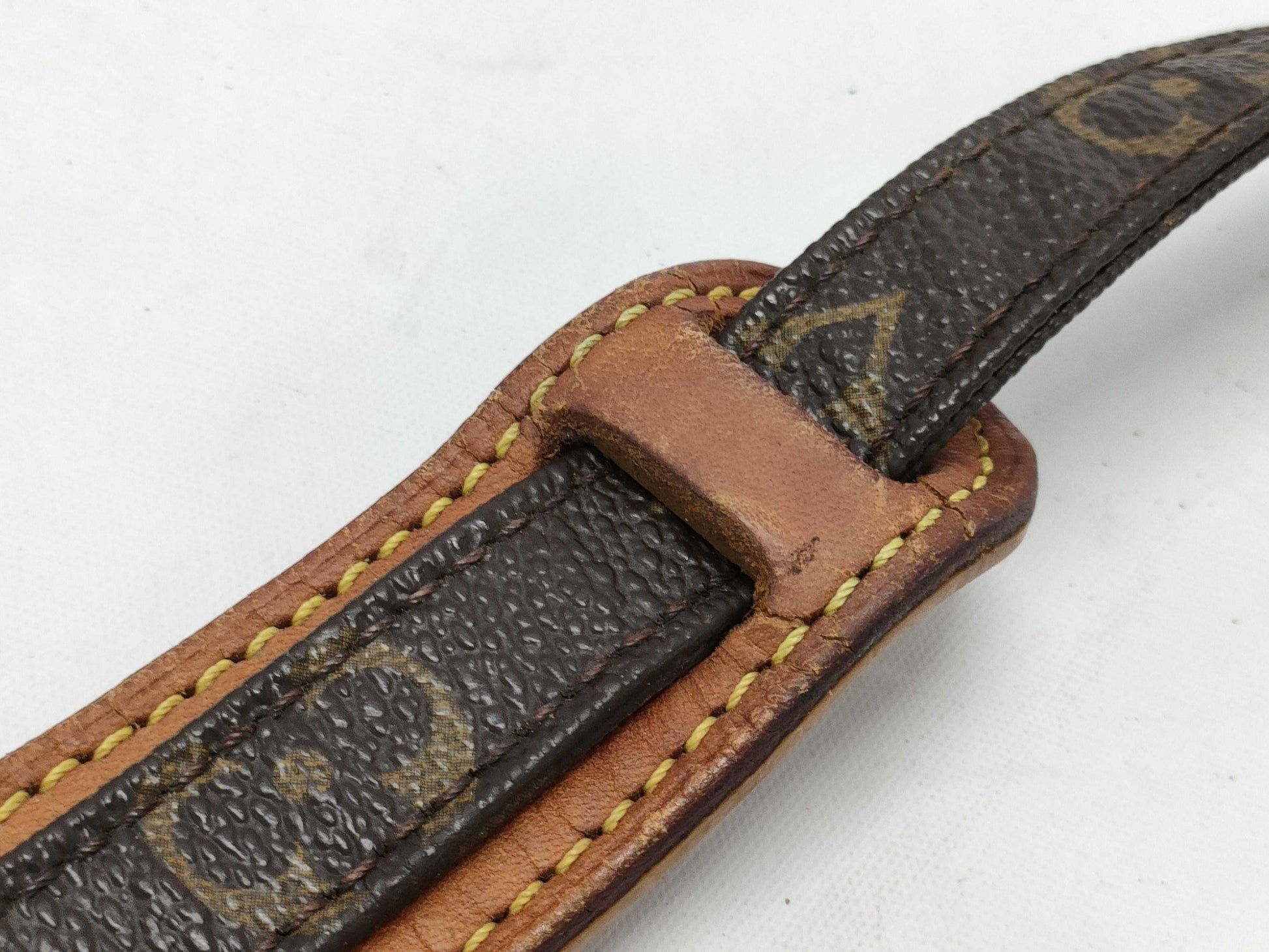 LOUIS VUITTON Monogram Danube Shoulder Bag