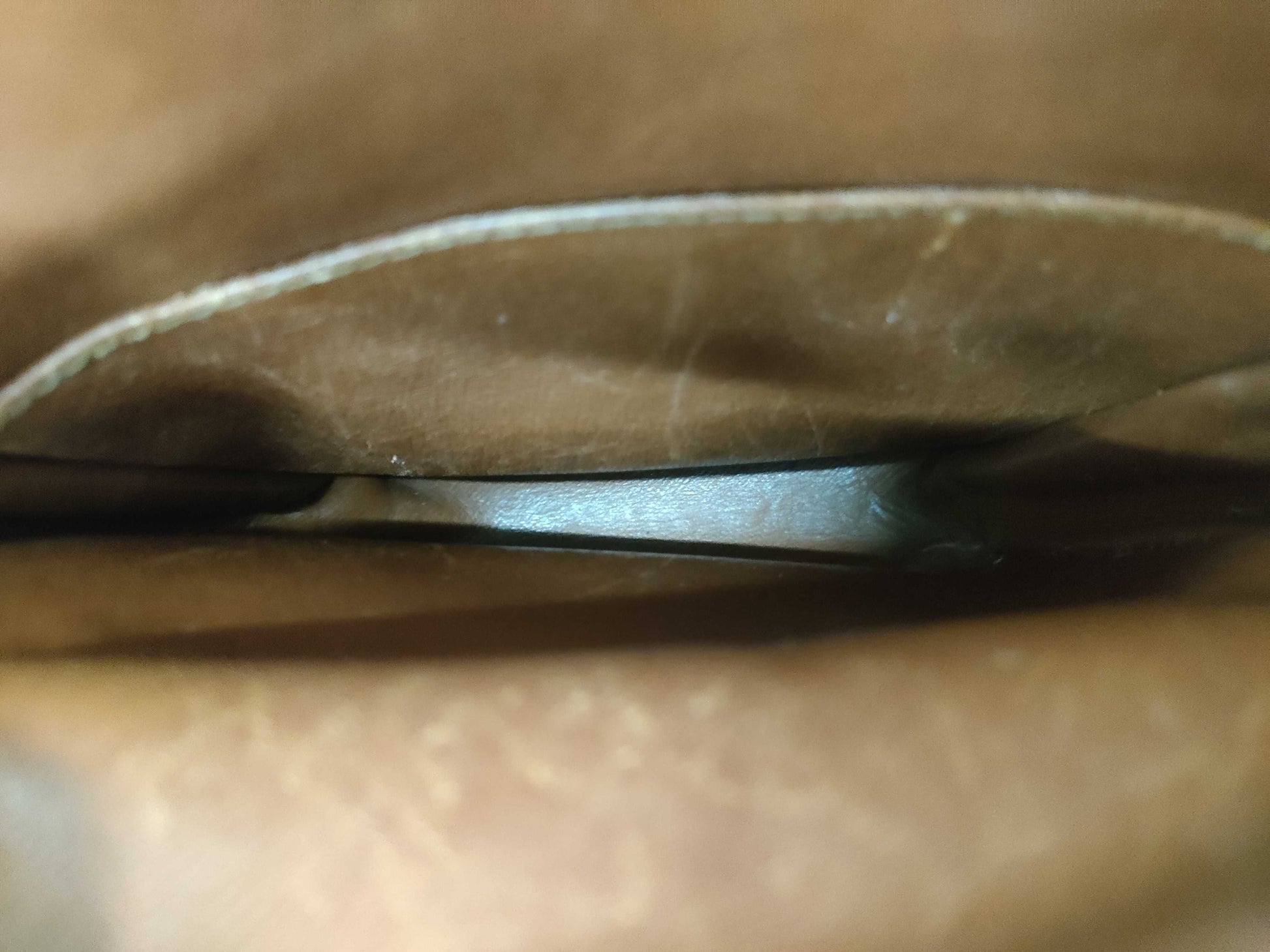 LOUIS VUITTON Monogram Amazon Shoulder Bag