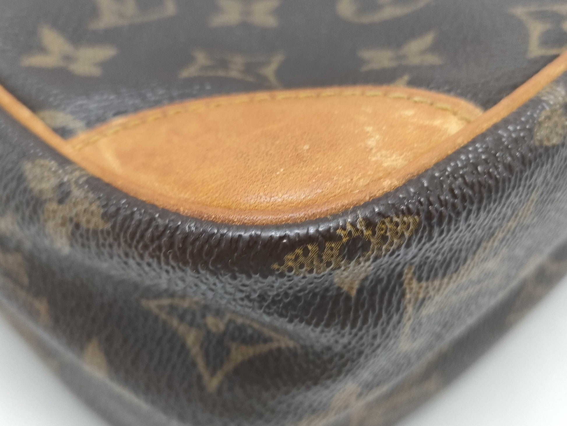 LOUIS VUITTON Monogram Amazon Shoulder Bag