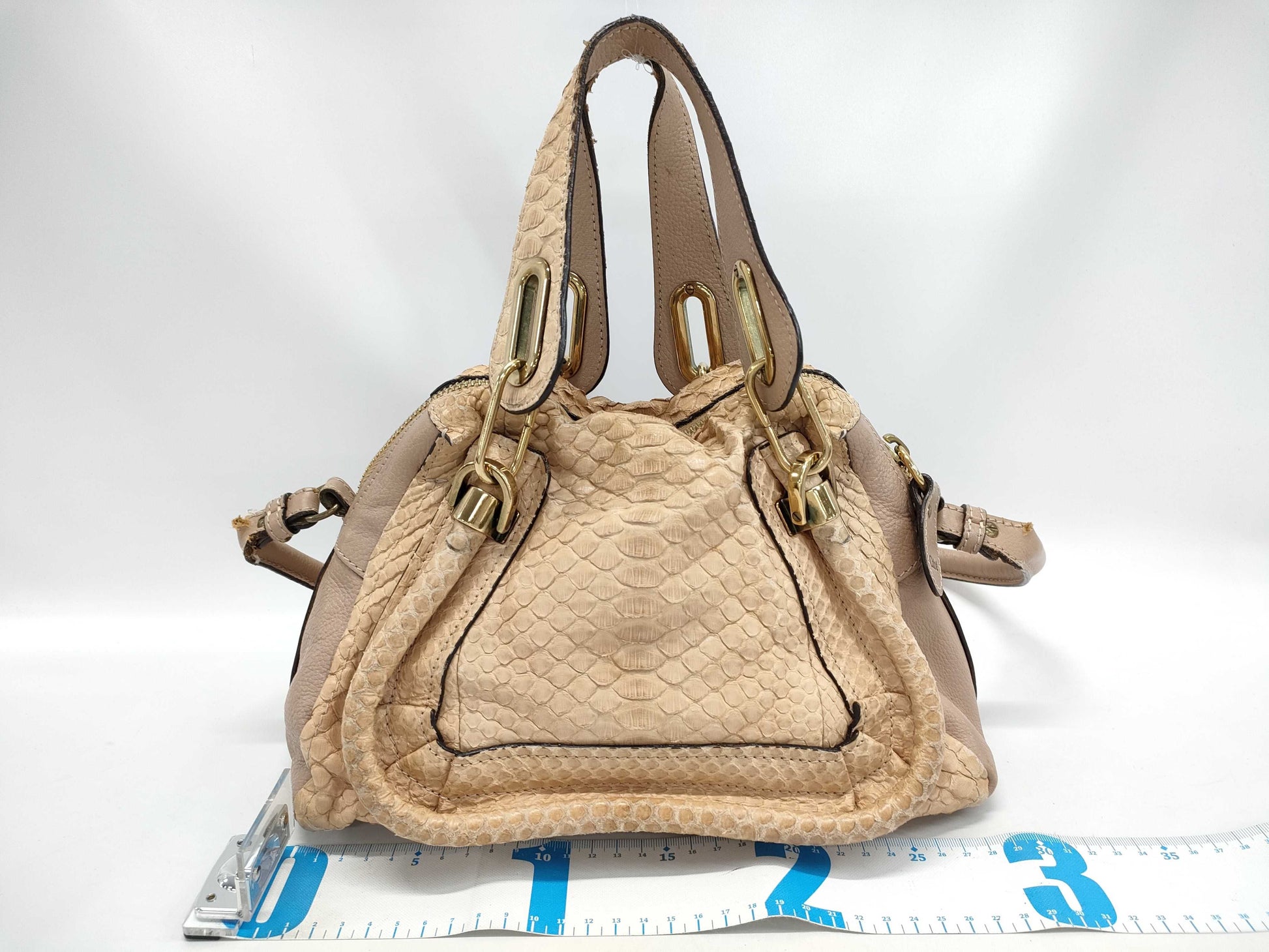 Chloe Python 2-Way Shoulder Bag Bag