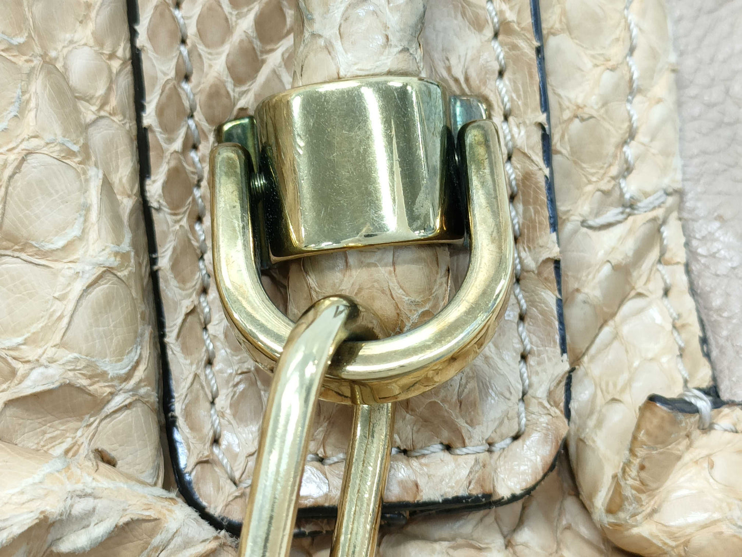 Chloe Python 2-Way Shoulder Bag Bag