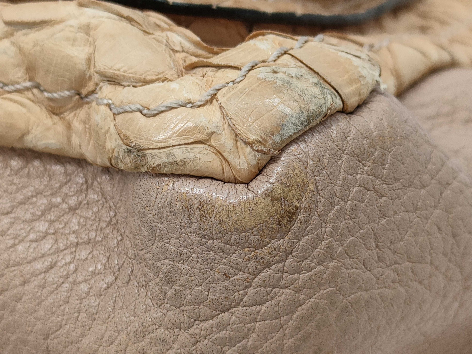 Chloe Python 2-Way Shoulder Bag Bag